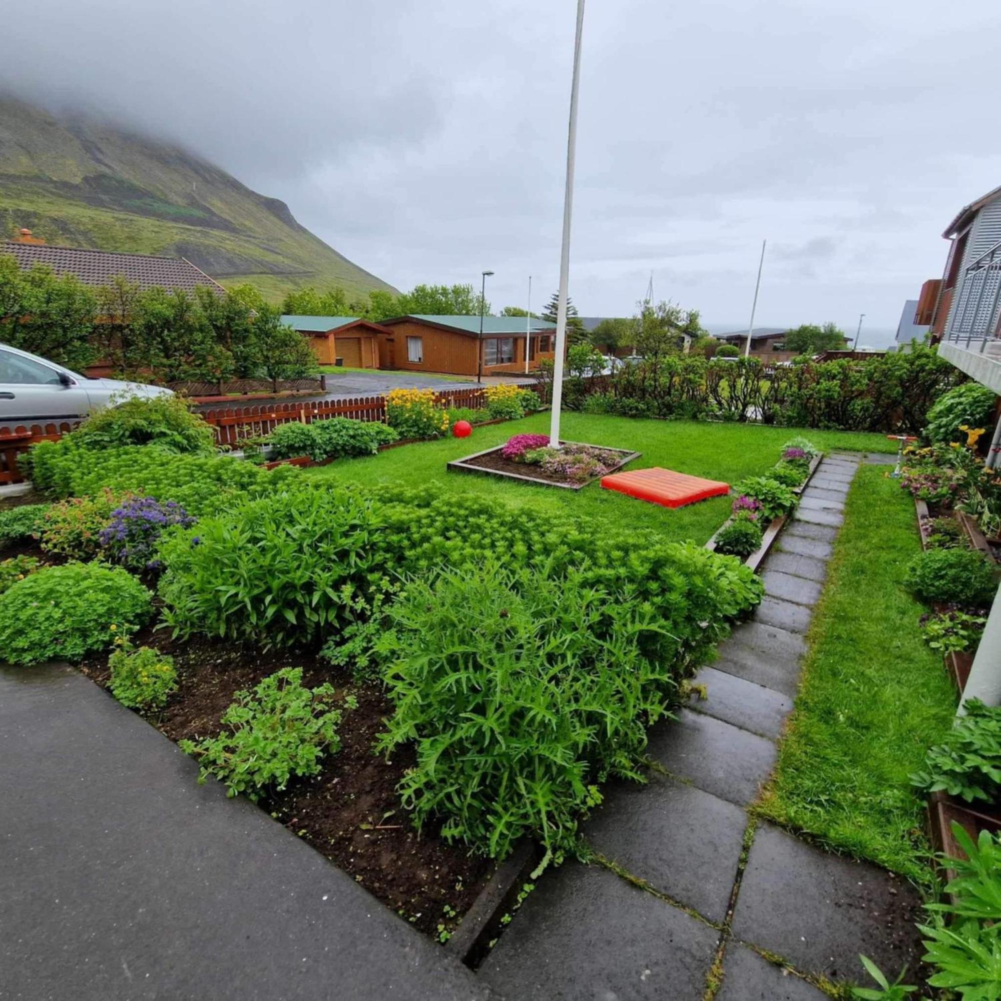 Aurora Cozy Íbúð